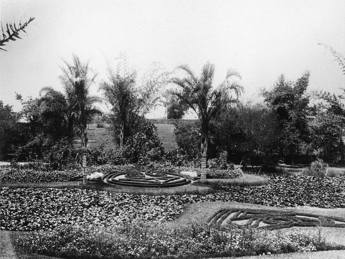 Formal garden beds at Bowen Park, Brisbane, 1889