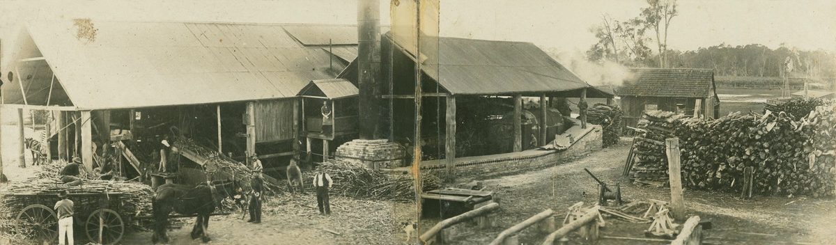 Panoramic view of the Alberton Sugar Mill, 1922