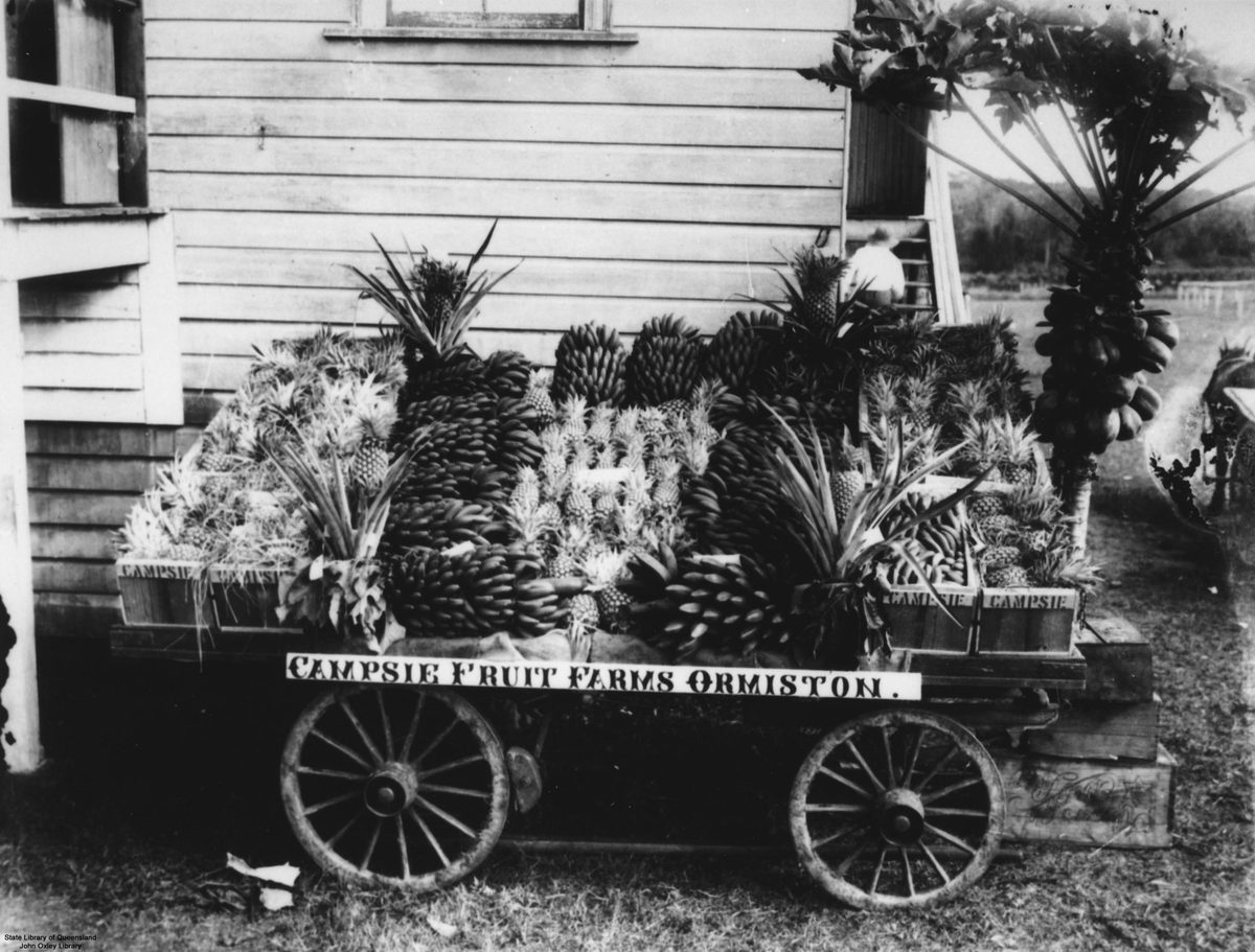Show exhibit for Campsie Fruit Farms at Ormiston, 1914