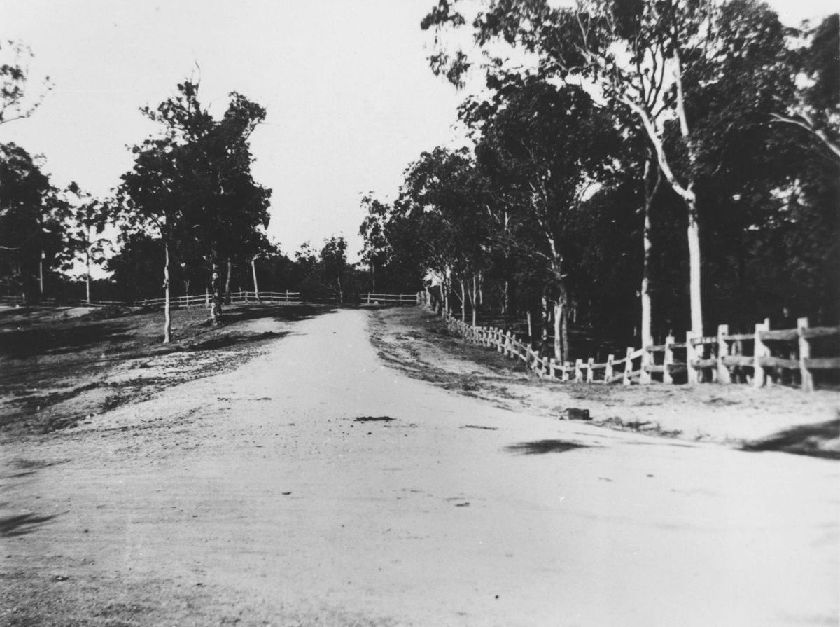 Road in Ashgrove, Brisbane, 1924