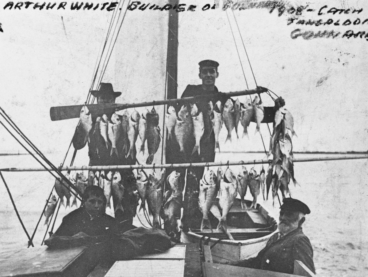 Group of fishermen displaying their catch on board their boat, Moreton Bay, 1908