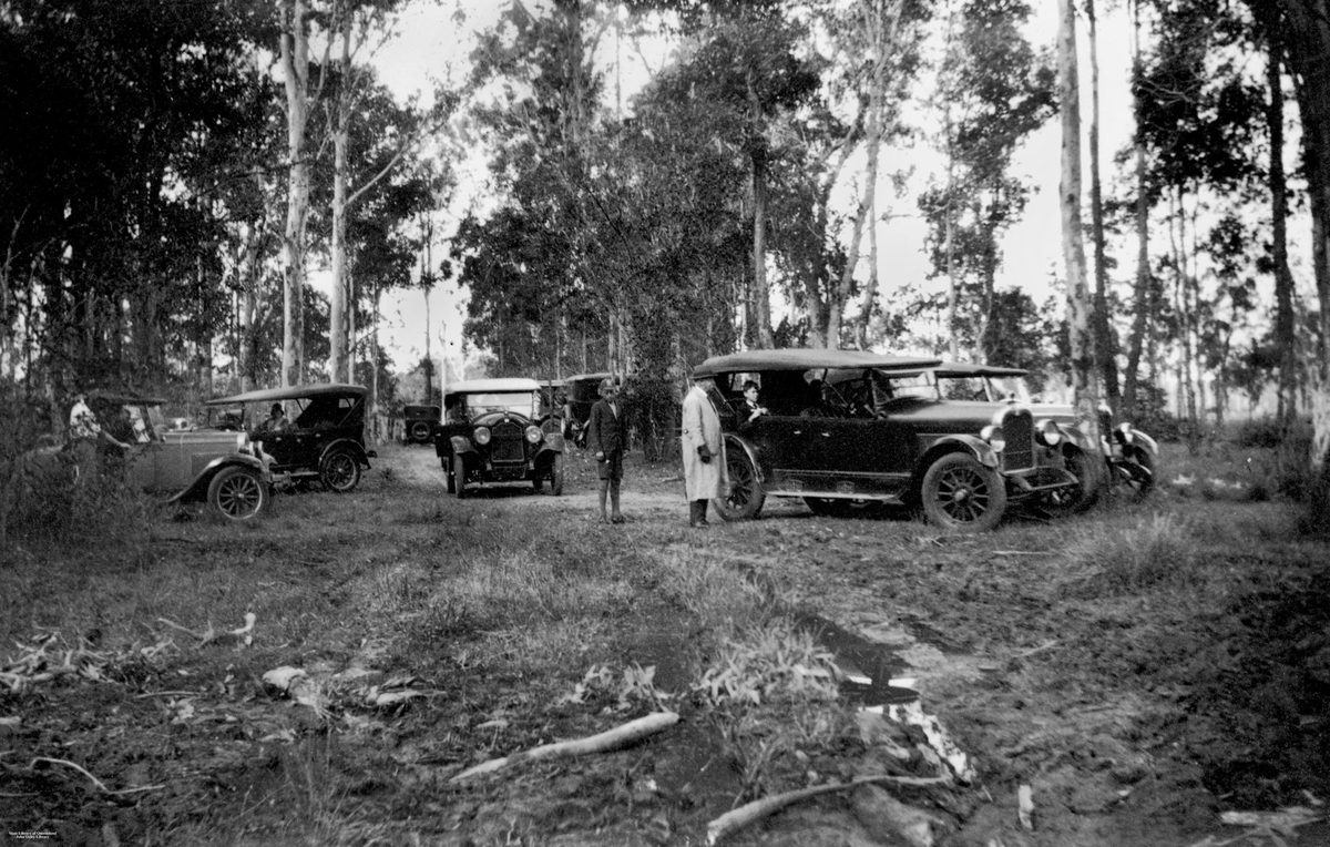 Gathering of early model motor vehicles in the bush at Oxley, 1930