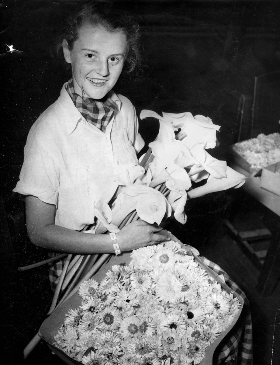 Chelsea Flower Show volunteer with some of the beautiful flowers for the show at City Hall, Brisbane, 1953