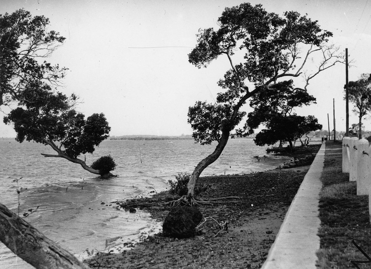 Foreshore at Lota, 1933.