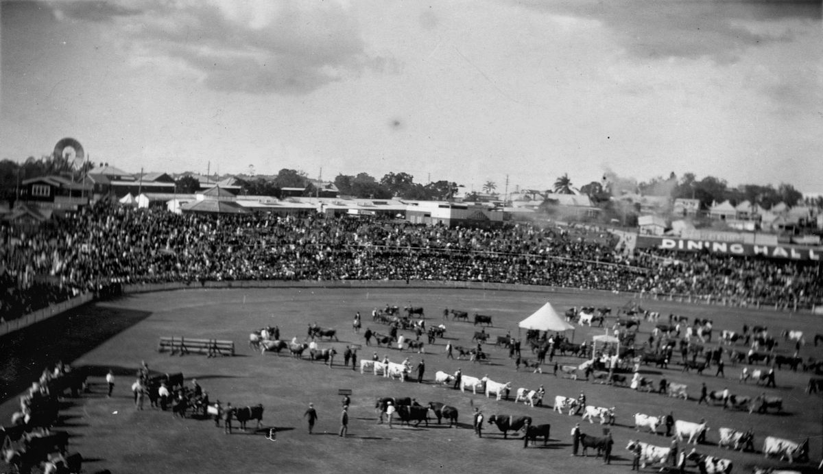 Crowds surround the main arena to watch the Grand Parade, Exhibition Ground, Brisbane, 1914