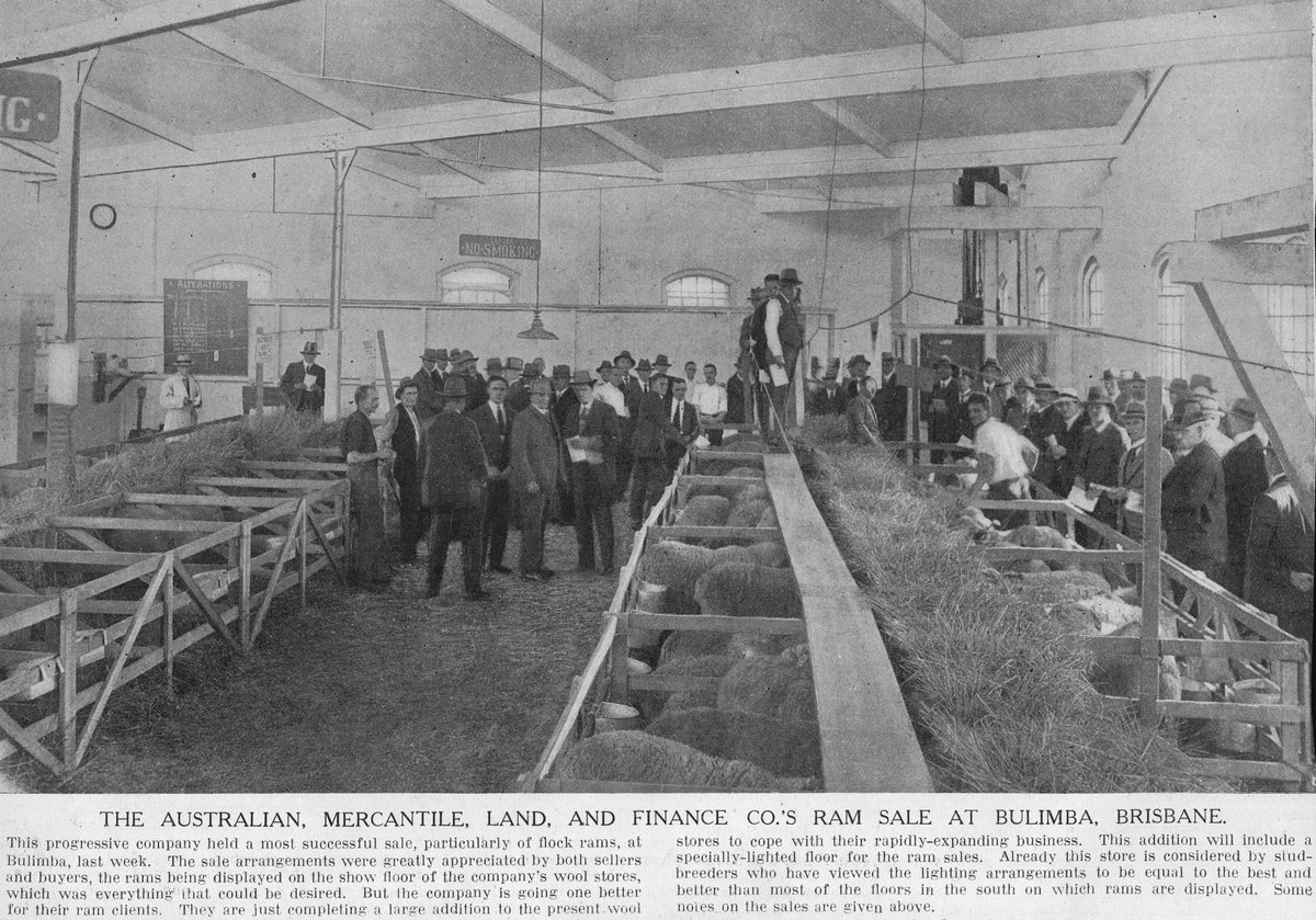 Australian Mercantile Land and Finance Co.'s ram sale at Bulimba, 1925