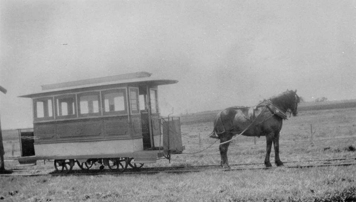 Horsedrawn tram on St. Helena Island, 1928