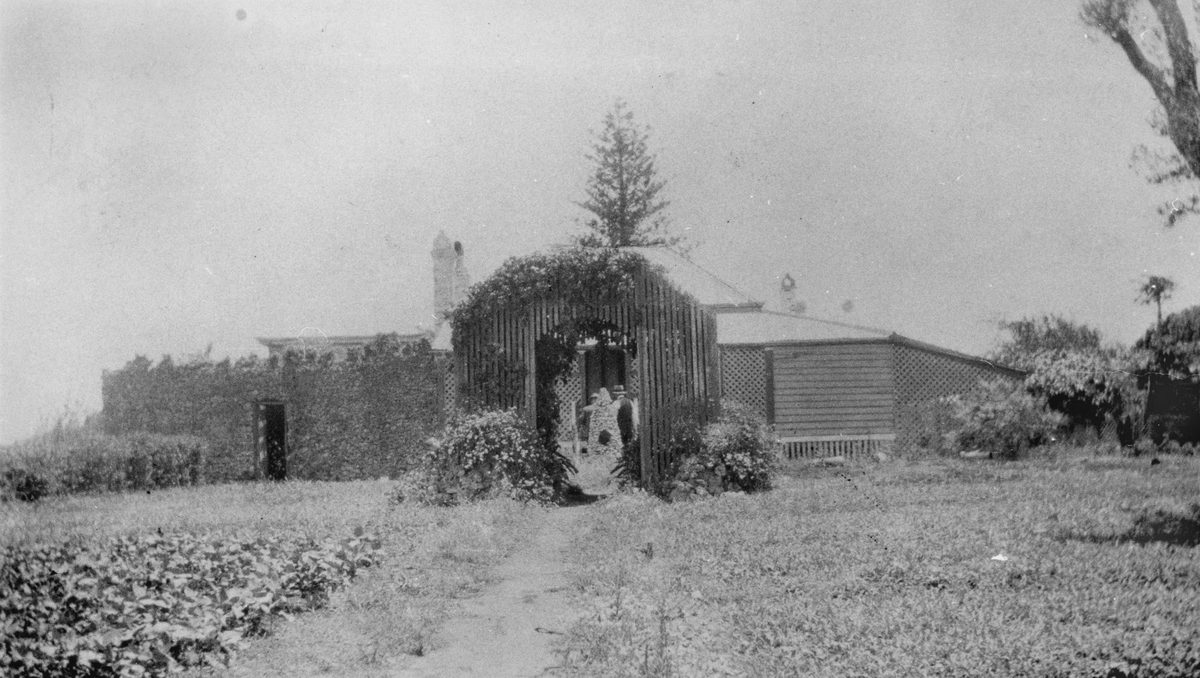 Garden of the old superintendant house, St. Helena, 1928