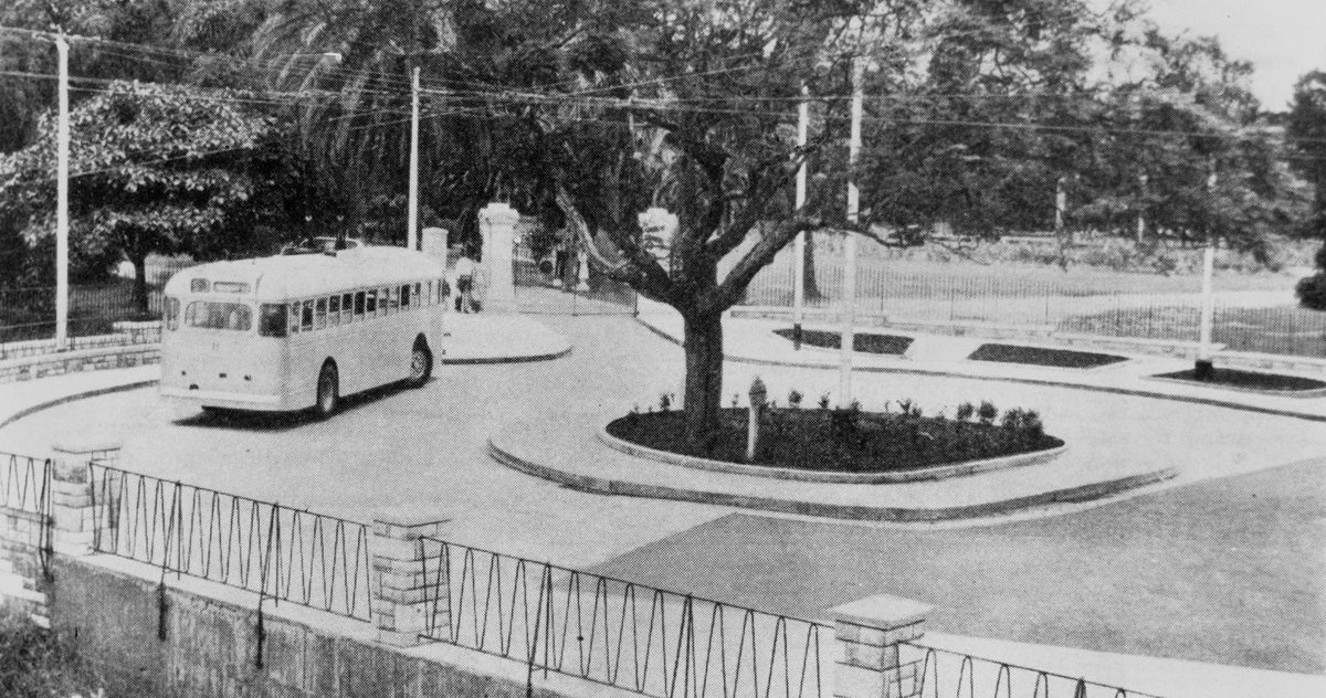 Trolley bus turning around at the Edward Street entrance to the botanical gardens, Brisbane, 1951