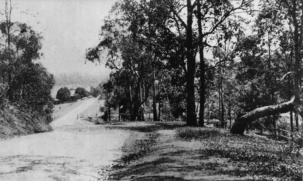 View of Moggill Road, Indooroopilly, Brisbane, 1921