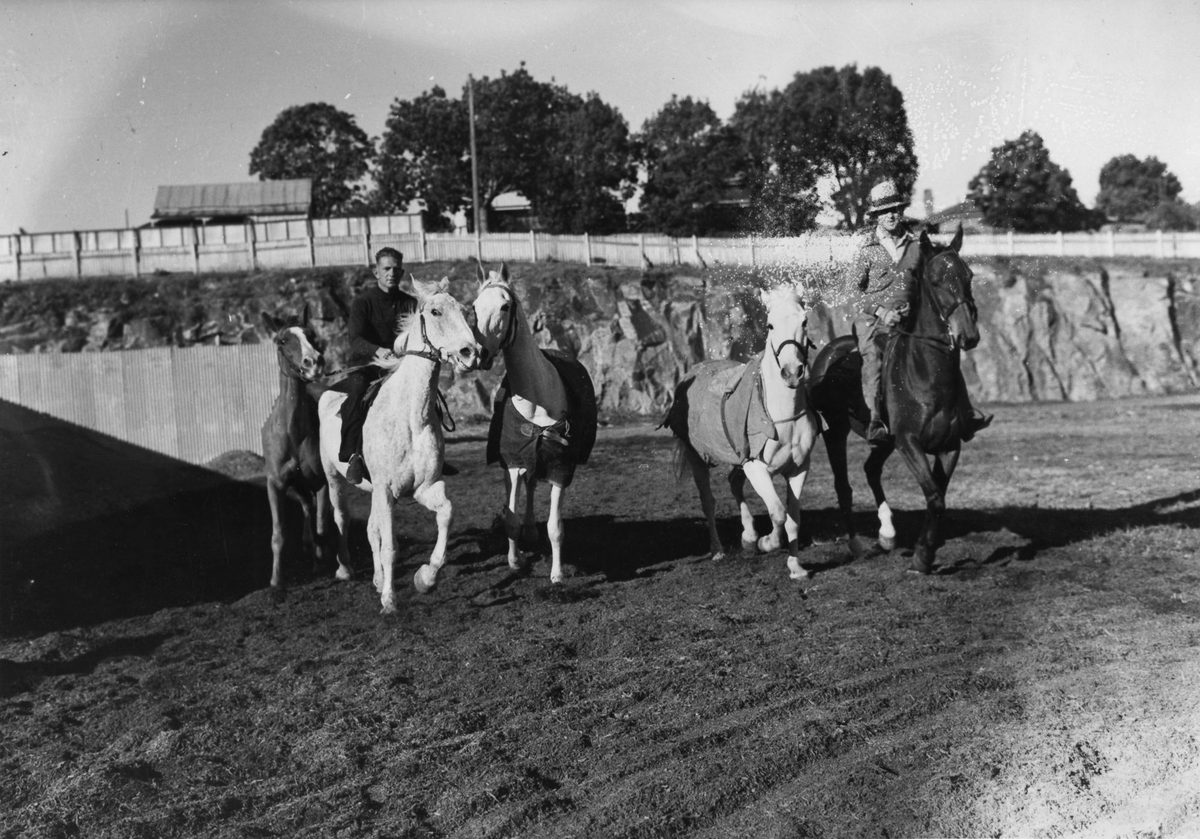 Two horse riders take several horses for a work out, Brisbane, 1938