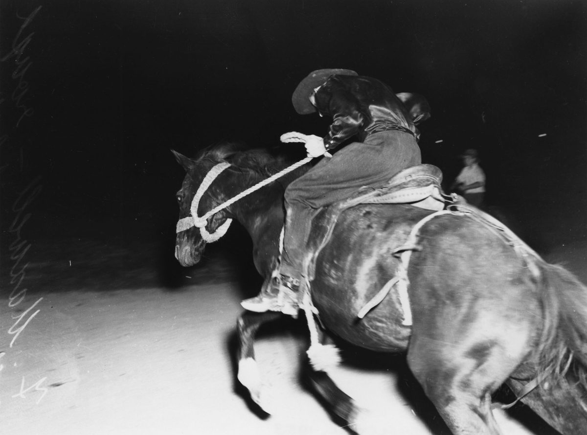 F. Maxwell, rough riding, Brisbane, 1953