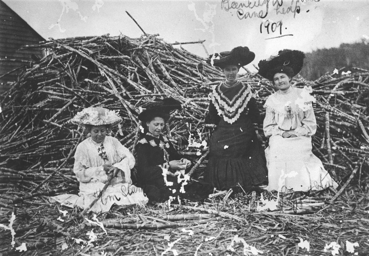 Women sitting in front of a sugar-cane heap, 1909