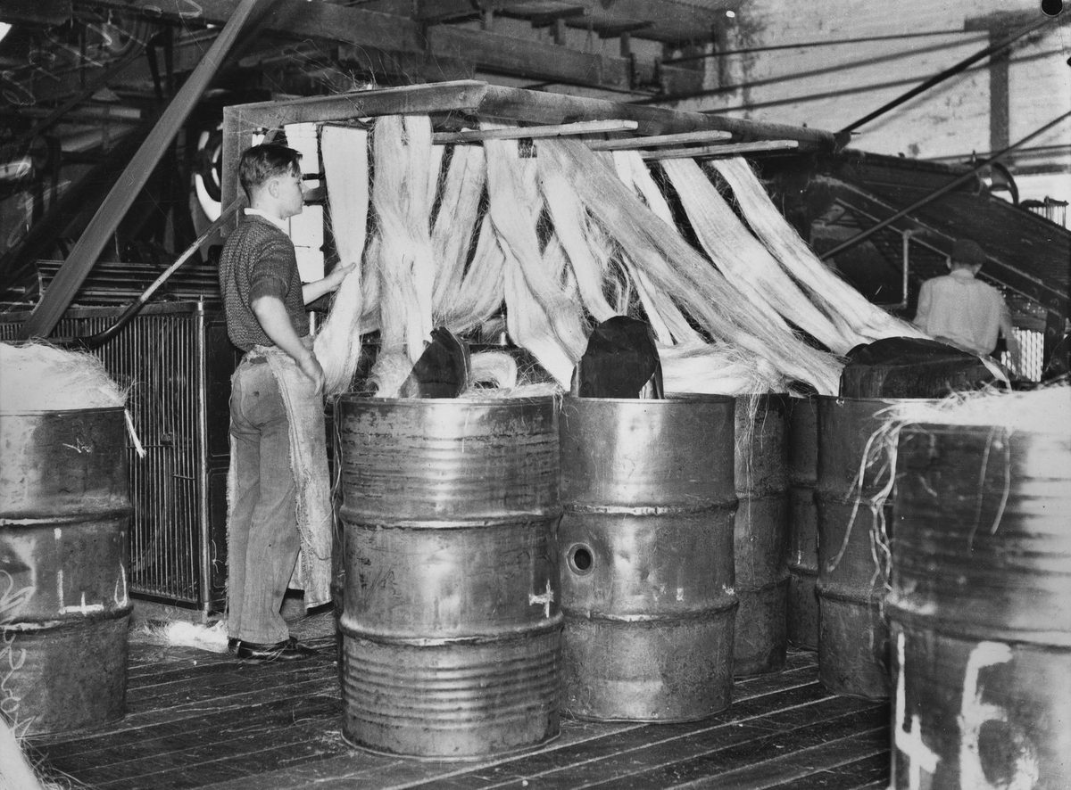 Forsyth's Rope Works, Lytton Road, East Brisbane, 1937