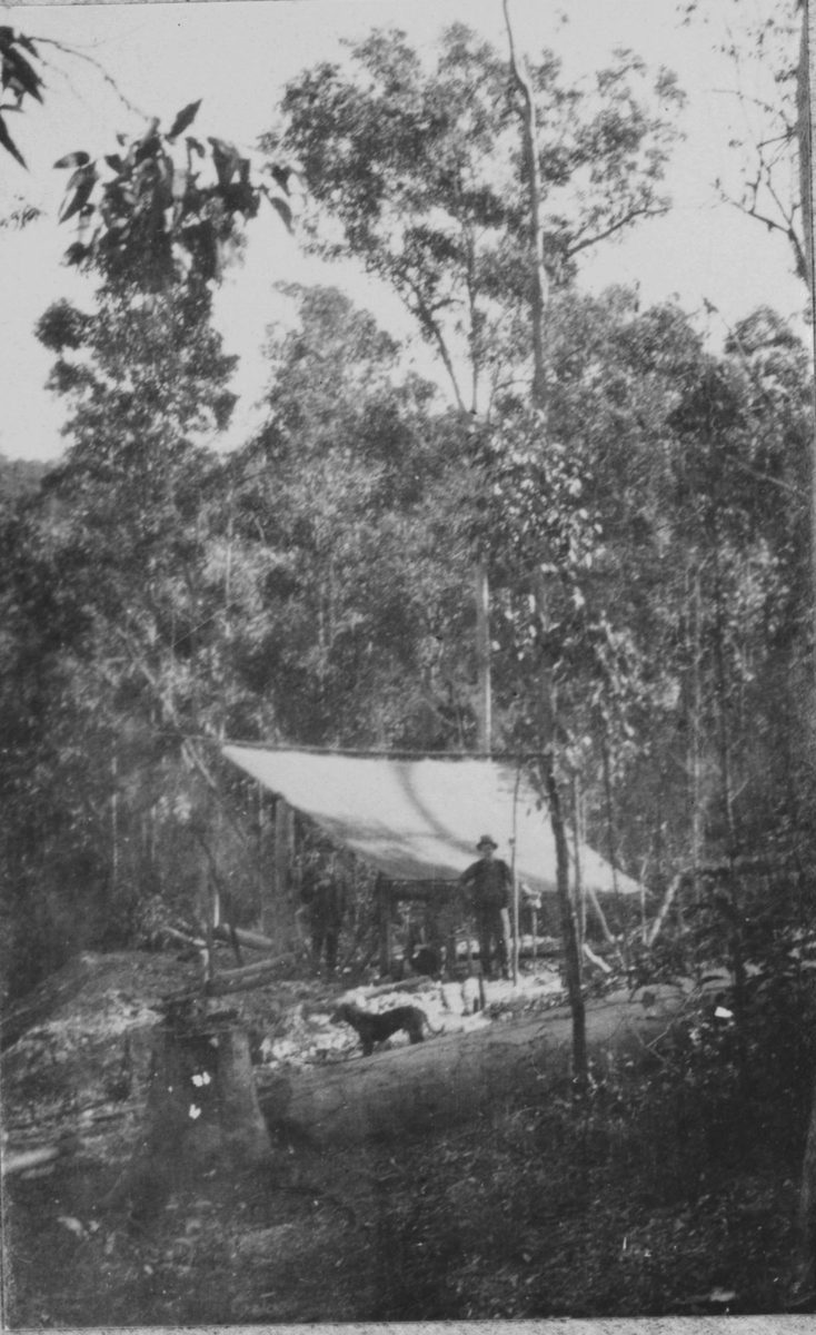 Centenary Mine at Brookfield, 1924