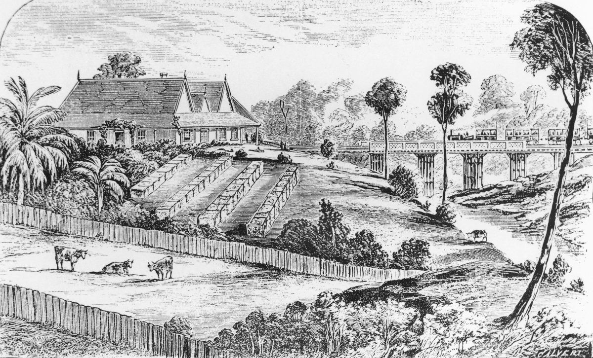 Queensland's first railway train passes over Iron Pot Gully, Ipswich district, 1865