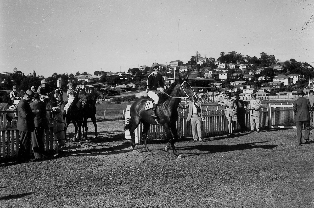 Sheppard's Pride, ridden by K. Birrer, pictured at Albion Park Racecourse, Brisbane, March 1945