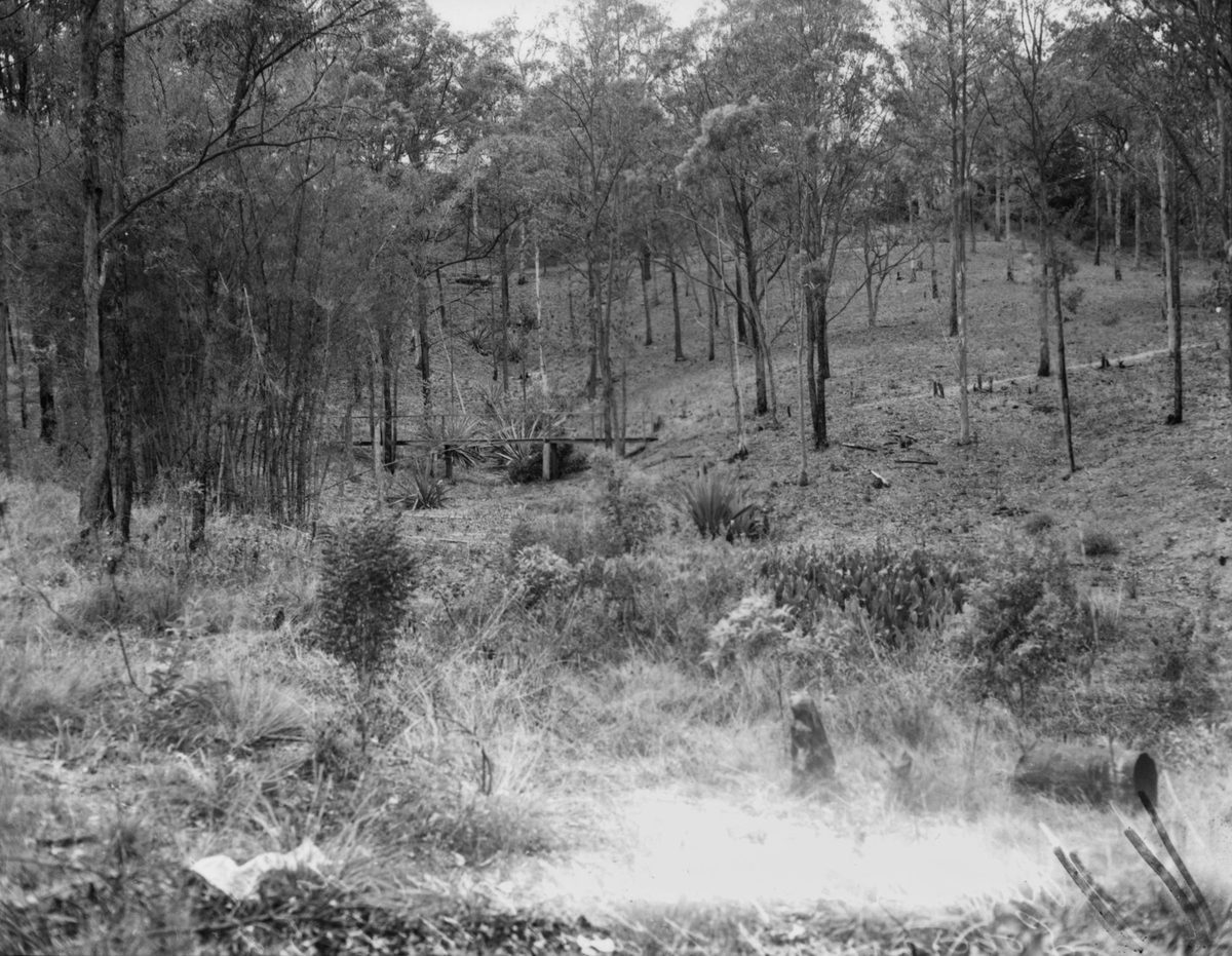 Rubbish dumps on the the grounds of Government House, Bardon, 1952