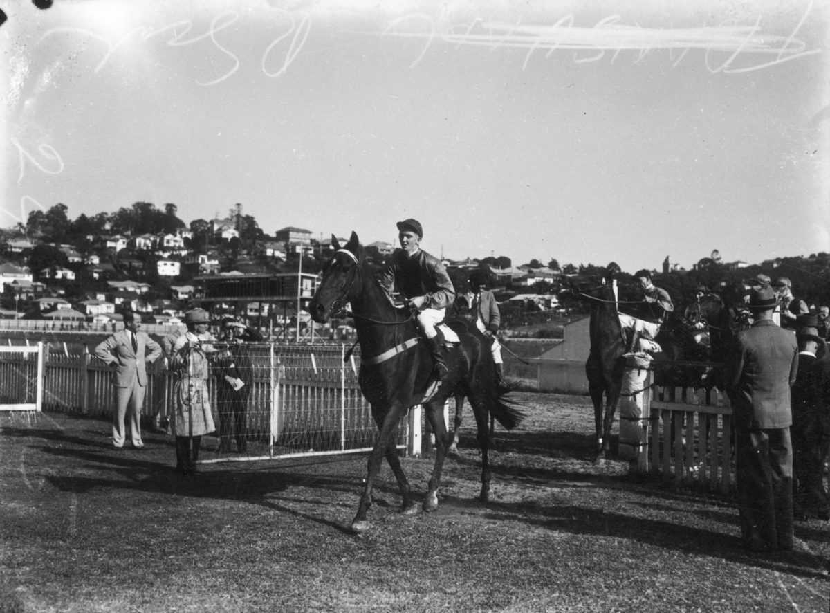 Vuna coming back to scale after winning at Albion Park, Brisbane, 1945