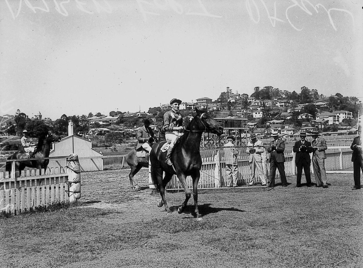 Racehorse, Amber Fort, with Kevin Kerr in the saddle, at Albion Park racetrack, Brisbane, December 1944