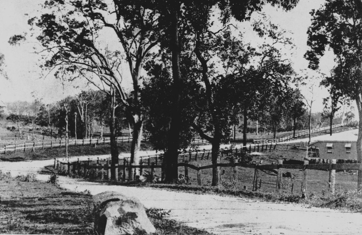 Waterworks Road at St. John's Wood, Brisbane, 1921