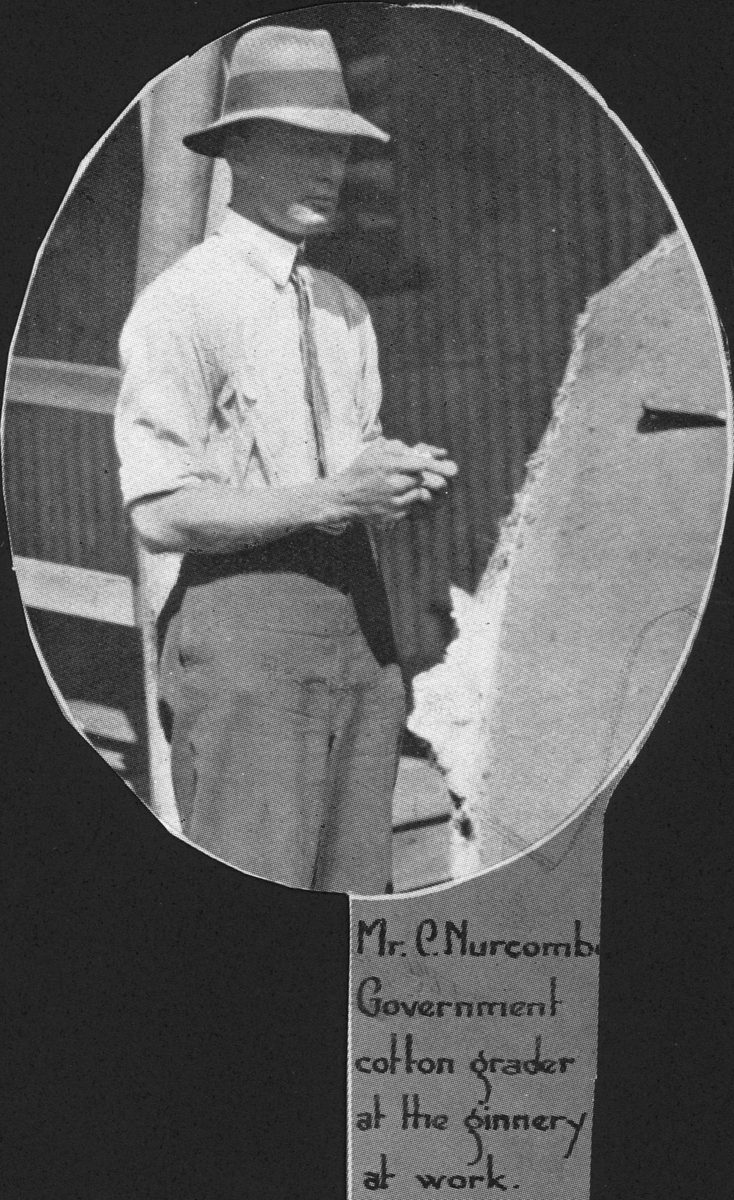 Government cotton grader, C. Murcombe at the Brisbane ginnery, 1931
