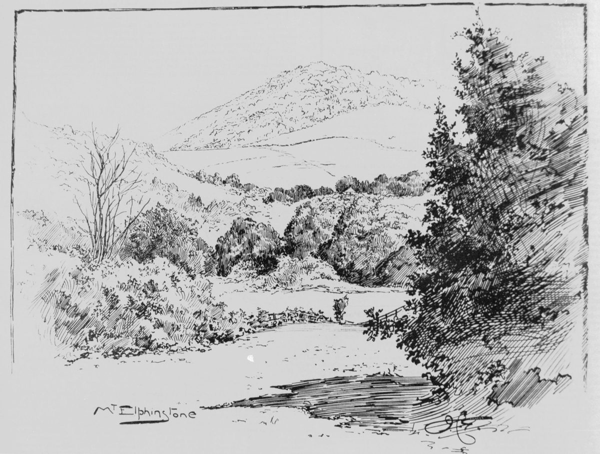 Mount Elphinstone at Brookfield, 1893