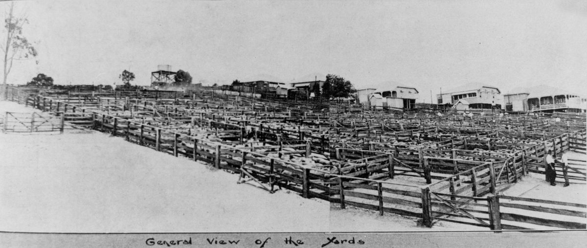 Sale Yards at Enoggera, 1921