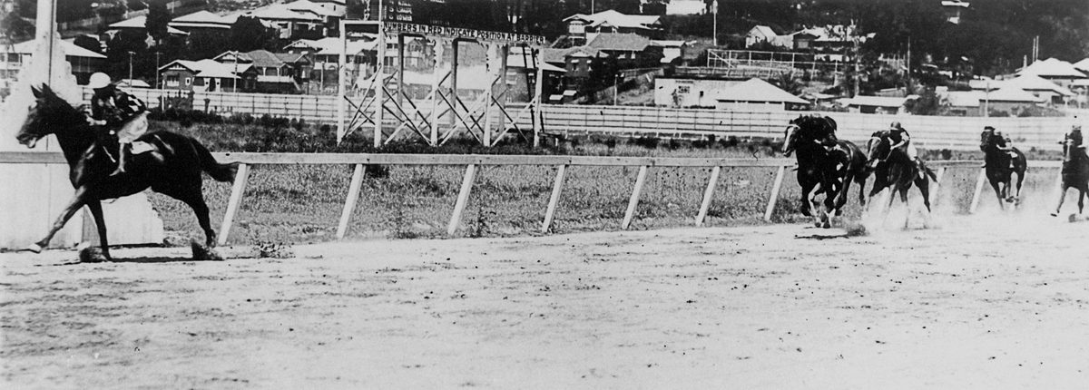 Finish of the Second Division race at Albion Park, Brisbane, January 1931