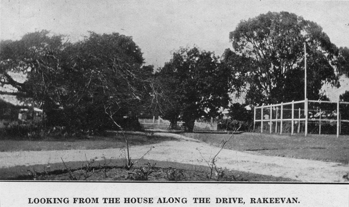 Looking from the house along the drive of Rakeevan, at Graceville, 1931