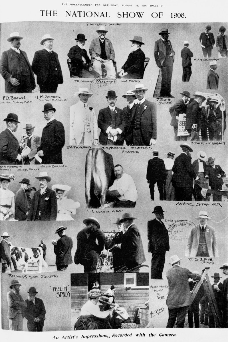 Artist's impression of visitors to the National Show in Brisbane, 1906