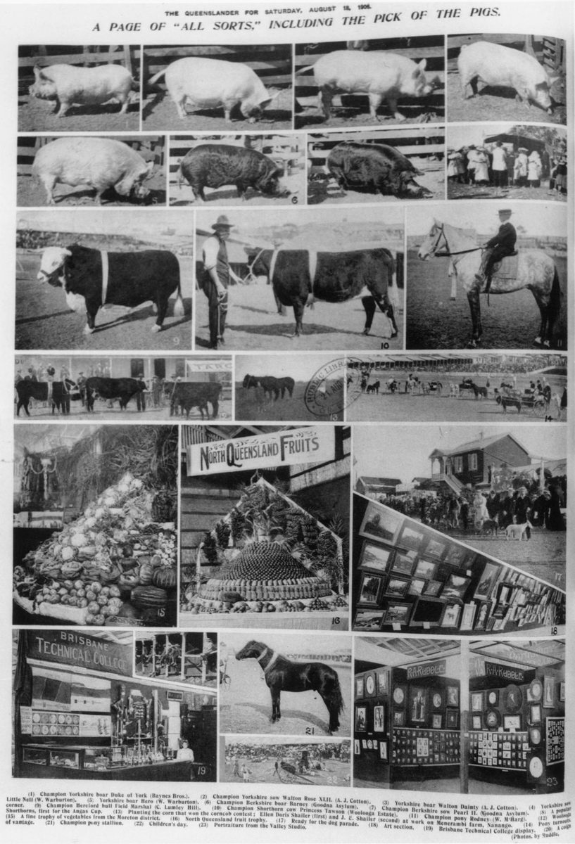 Collage of photographs taken at the Royal National Association Exhibition, known as the Ekka, Brisbane, 1906