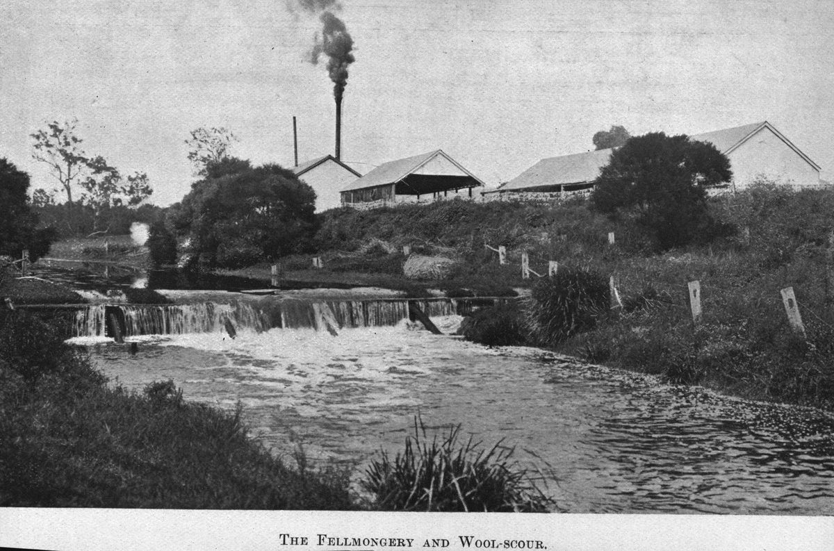 Fellmongery and woolscour works in Murrarie, Queensland, 1908