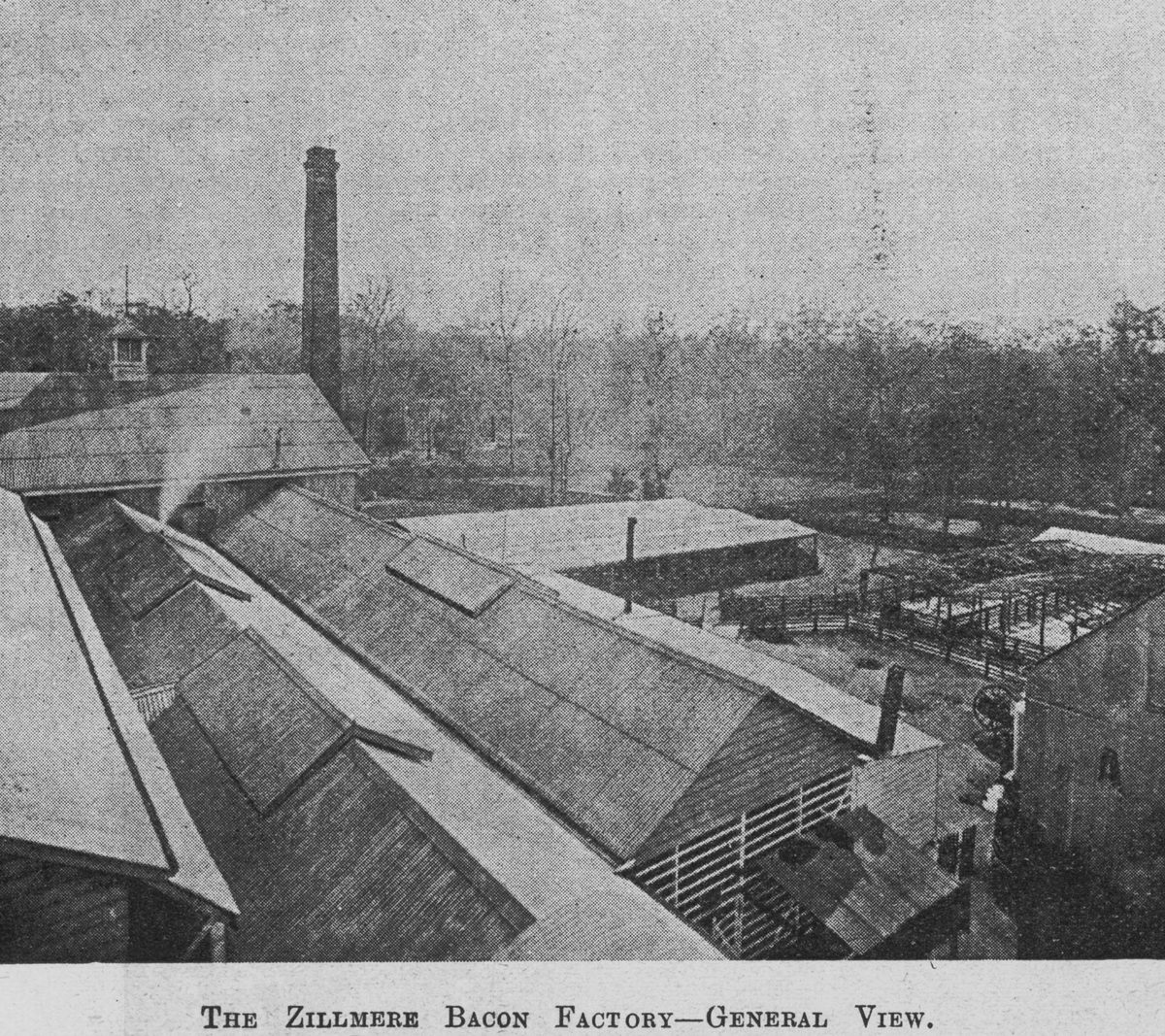 Hutton's Bacon Factory in Zillmere, Brisbane, 1896
