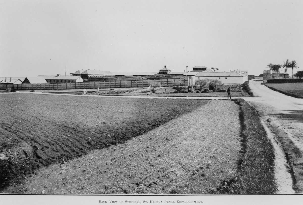 Rear view of the stockade of the St. Helena penal establishment, 1914
