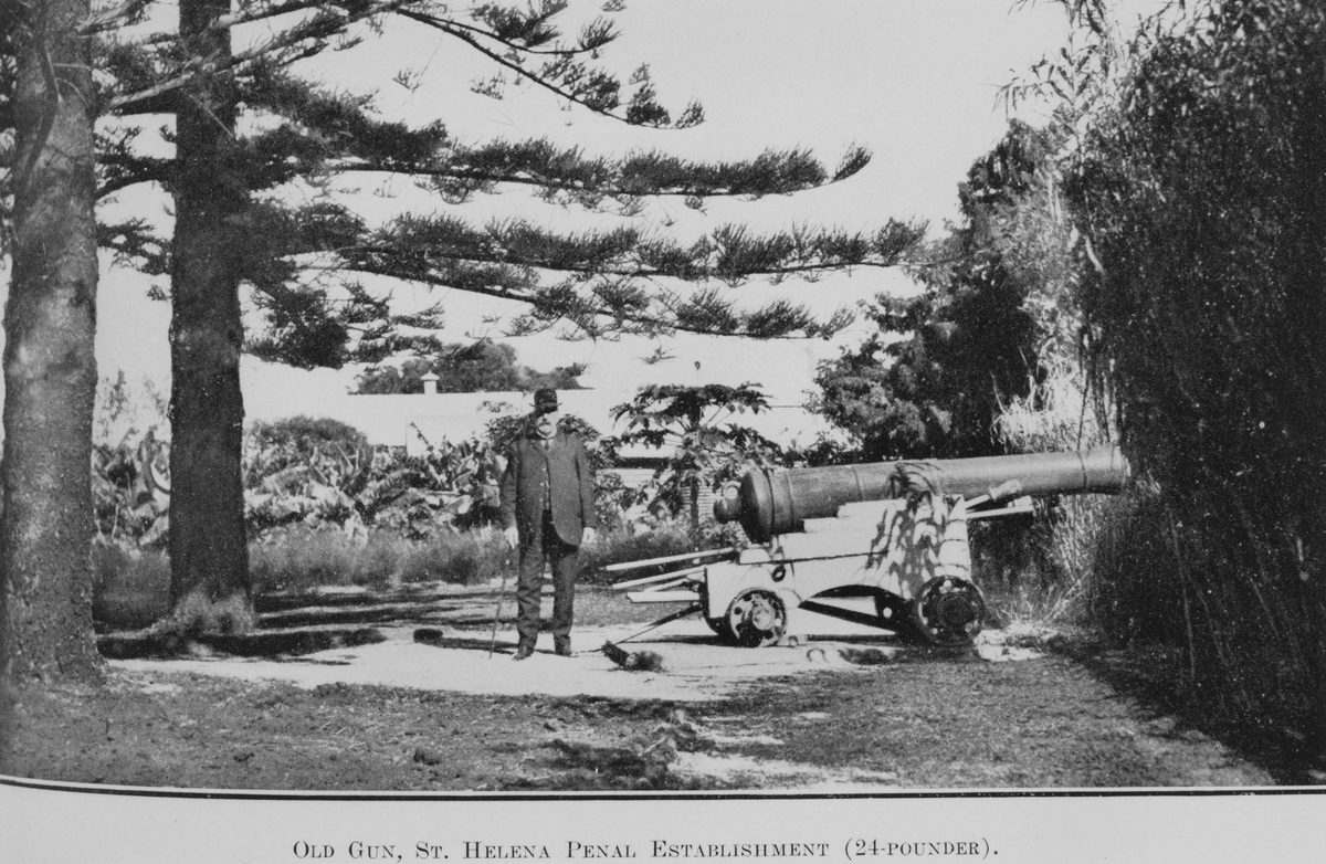 Old gun at St. Helena penal establishment, 1914