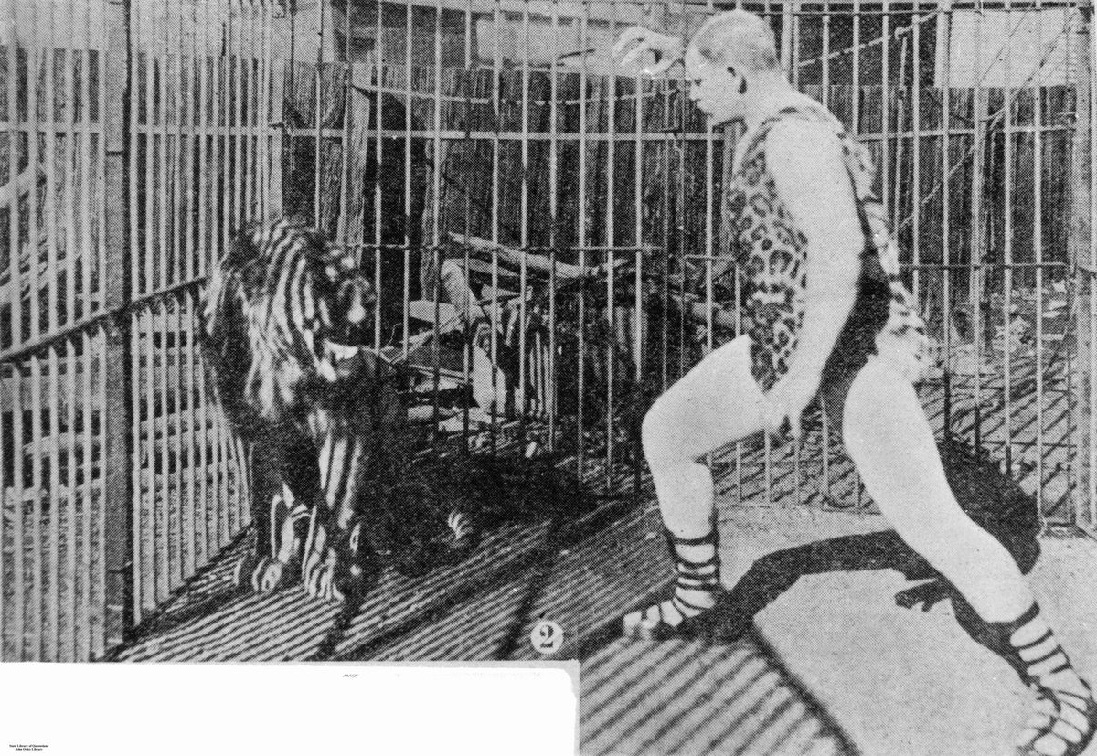 Herr Pagel ready to tackle the lion at Wirth's Circus, Brisbane, 1903