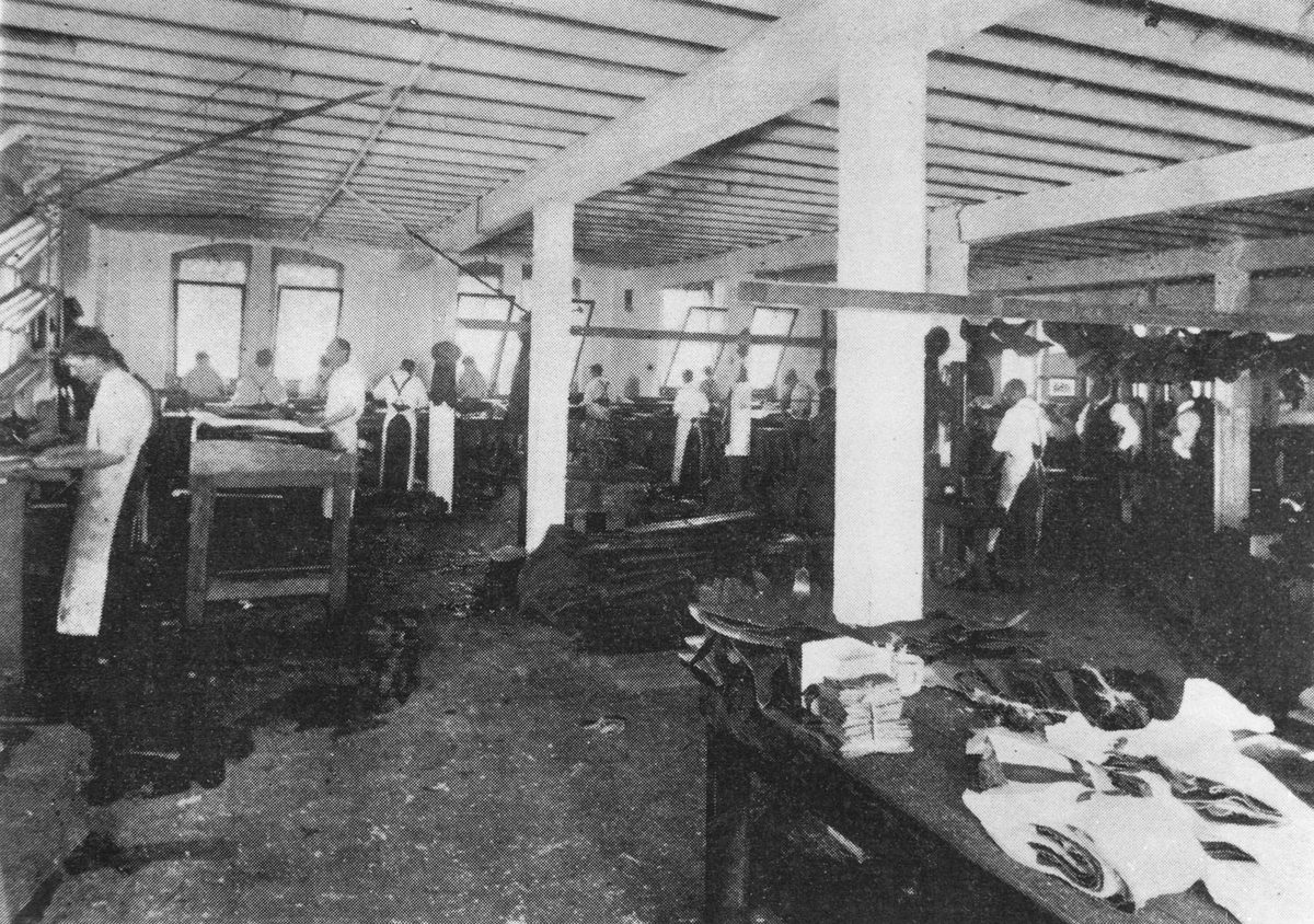 Clicker's department at Davey Halliday & Co, 1904