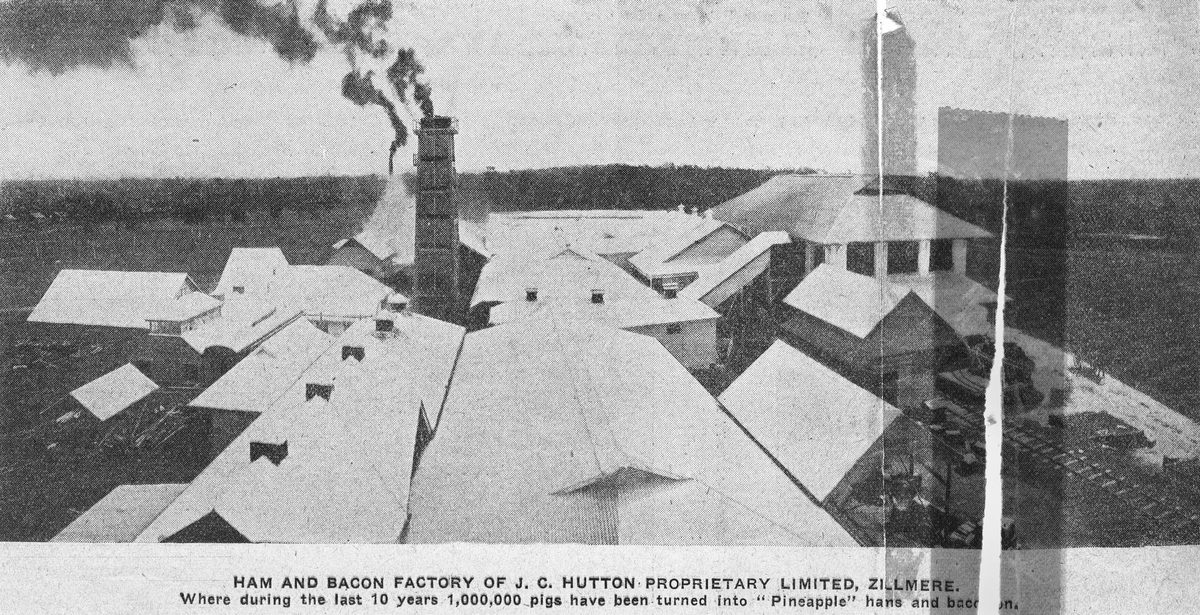 Hutton's Ham and Bacon Factory, 1913