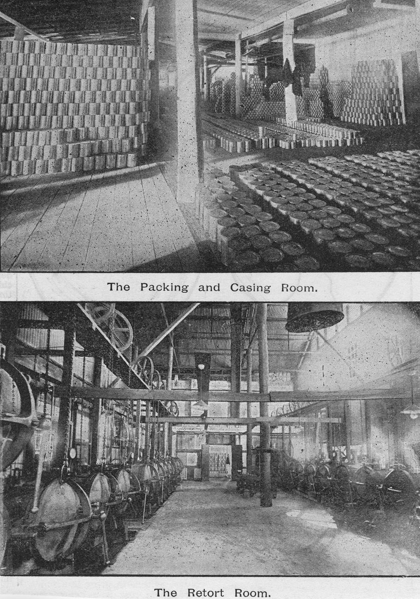 Queensport Works of the Graziers' Butchering, Freezing and Meat Export Company, 1894