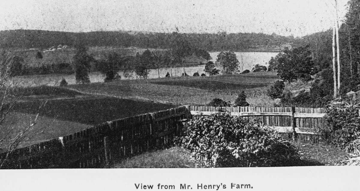 View from Mr. Henry's farm at Oxley, Brisbane, 1906