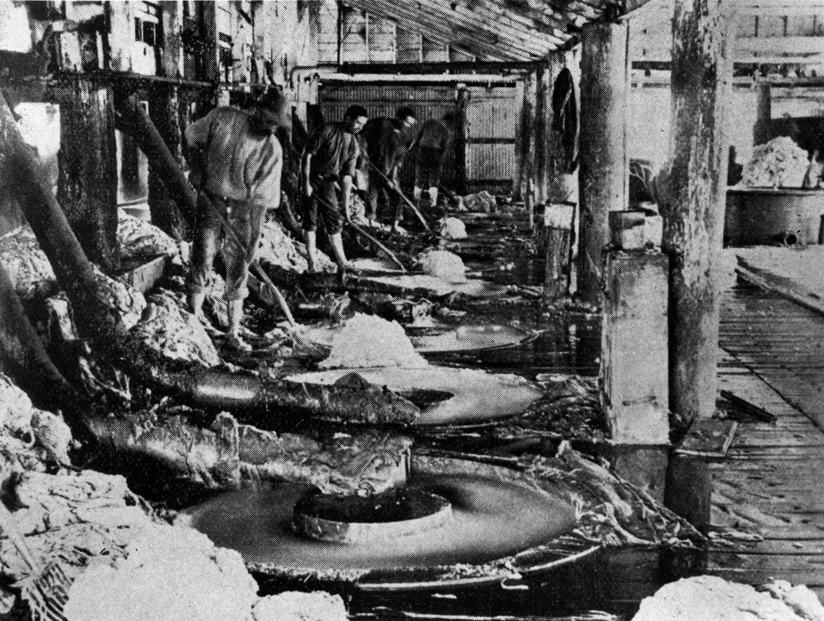 Wool scouring at Belmont, Brisbane, in 1900