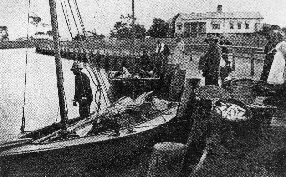 Fishermen unloading their catch from boats at Wynnum Creek, 1907