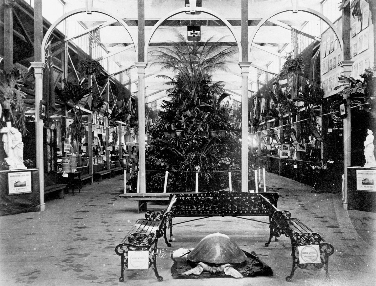 Inside the main pavilion at the second National Association Exhibition in Brisbane, August 1877
