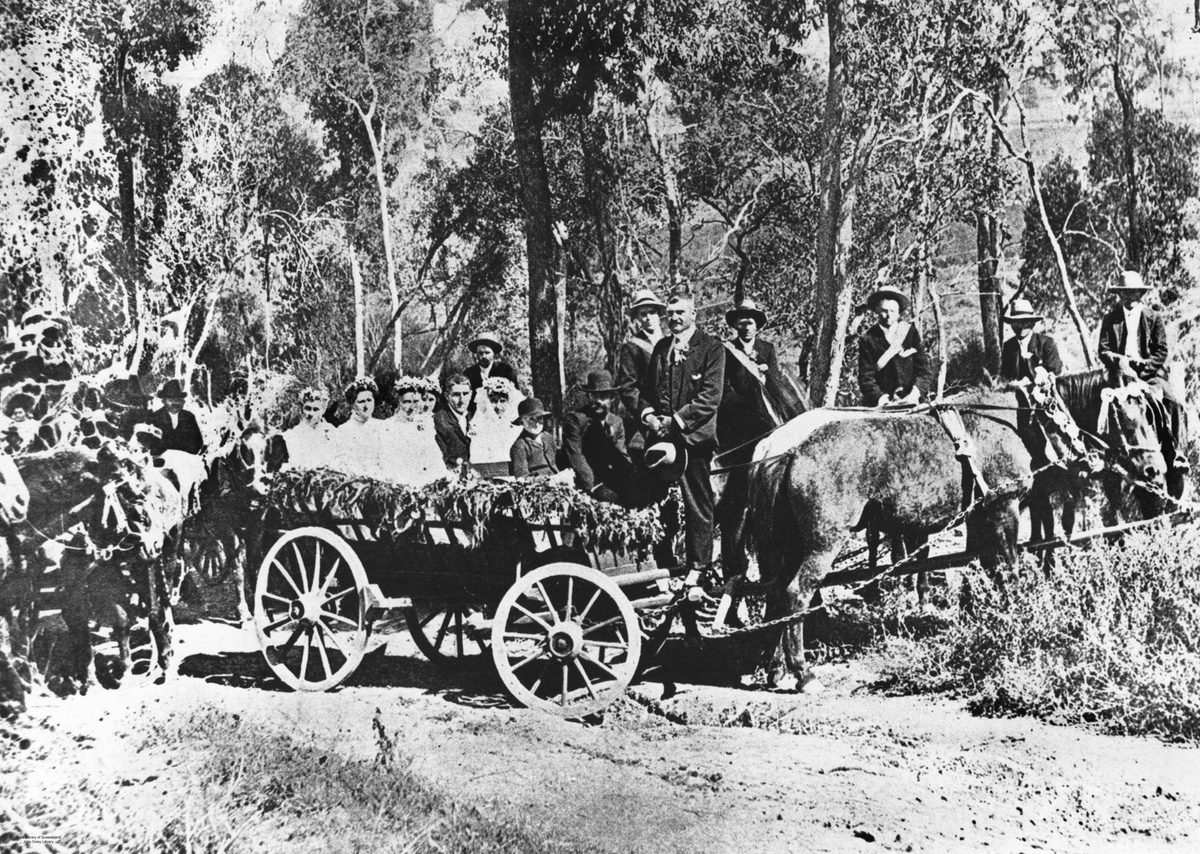 Wagon wedding party, West Moreton, 1907