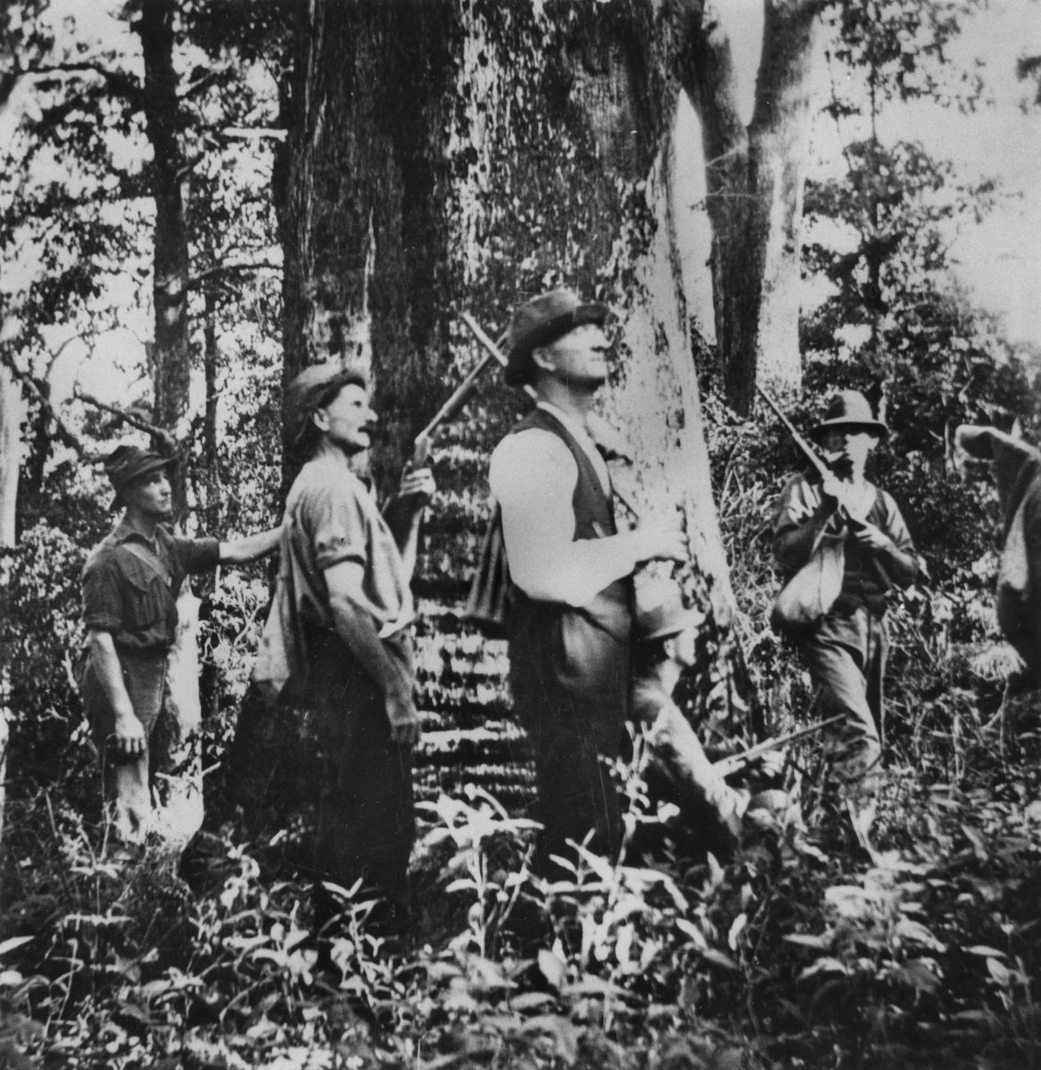 Hunting party on Mt. Glorious, D'Aguilar Ranges, near Brisbane, Queensland, 1920
