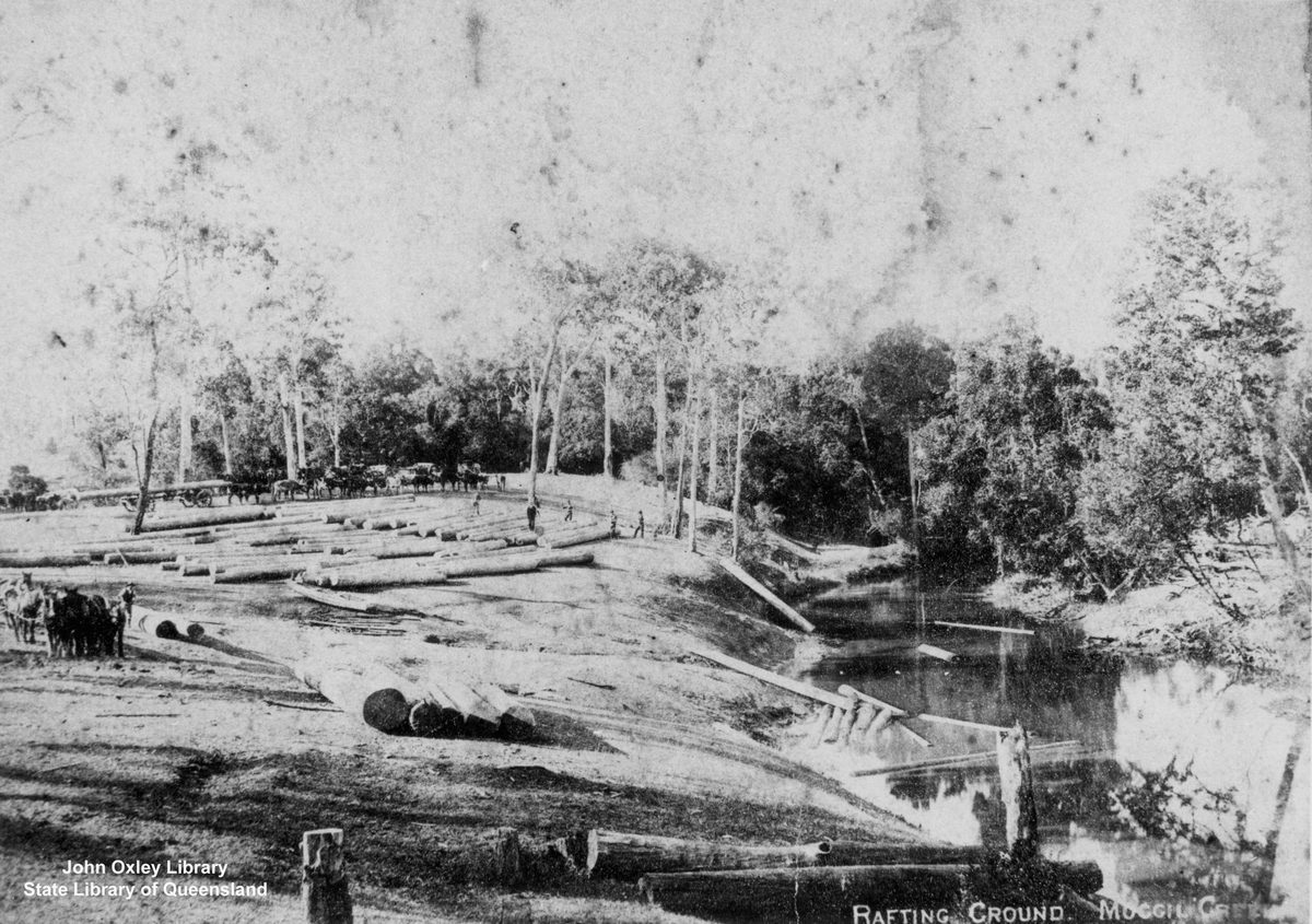 Tree-fellers cutting timber and preparing logs for rafting at Moggill Creek, Brisbane