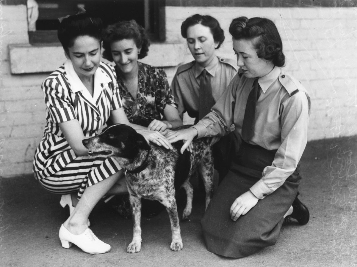 Victoria Barracks girls with the only dog to enter the Barracks, Brisbane, 1945