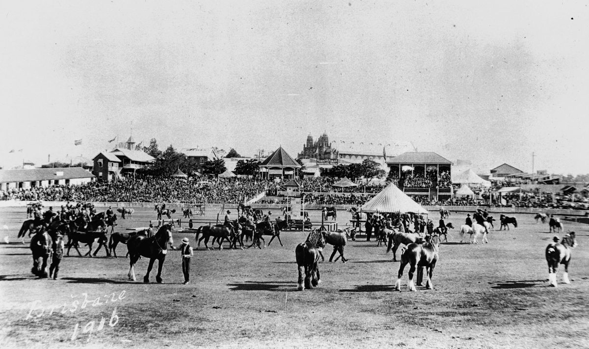 Horses parade in front of a large crowd at the Exhibition Ground, Brisbane, 1916