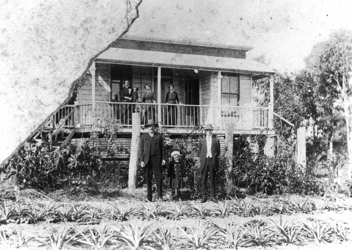 Atthow's pineapple farm at Lindum, Queensland, 1912